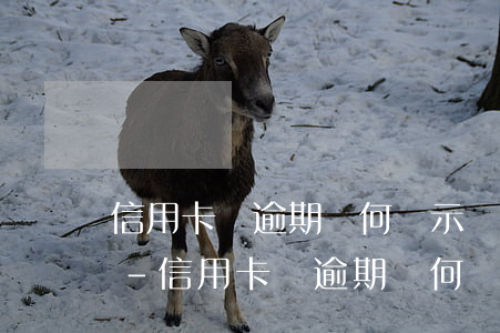 信用卡沒逾期為何顯示負(fù)債一萬多-信用卡沒逾期為何顯示負(fù)債一萬多呢