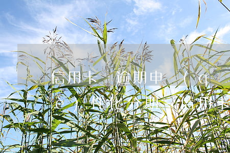 信用卡沒逾期申請(qǐng)不了個(gè)性化分期-信用卡沒逾期申請(qǐng)不了個(gè)性化分期怎么回事