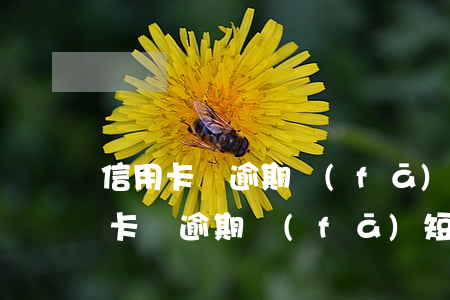 信用卡沒逾期發(fā)短信說逾期了（信用卡沒逾期發(fā)短信說逾期了）