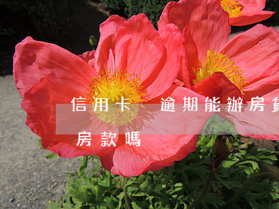信用卡沒逾期能辦房貸嗎(信用卡逾期可以貸房款嗎)