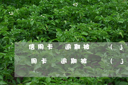 信用卡沒逾期被凍結(jié)但有額度(信用卡沒逾期被凍結(jié)但有額度)