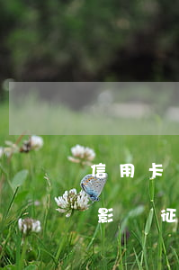 信用卡沒逾期貸款有影響嗎(信用卡不逾期會影響征信嗎)