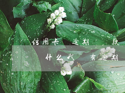 信用卡沒逾期辦貸款辦不出來(lái)-為什么我沒有逾期過(guò)信用卡辦不了