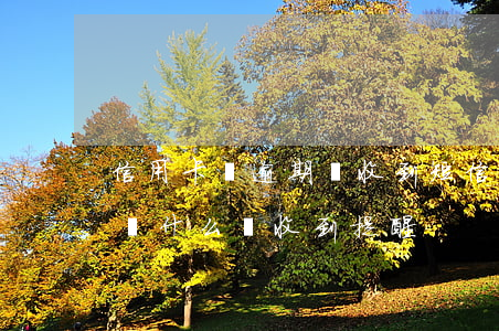 信用卡沒逾期過收到短信(我的信用卡逾期了為什么沒收到提醒)