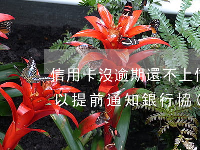 信用卡沒逾期還不上(信用卡沒逾期還不上可以提前通知銀行協(xié)商嗎)