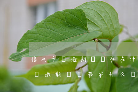 信用卡沒逾期還會存在什么費用嗎-信用卡沒逾期還會存在什么費用嗎知乎