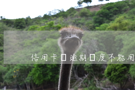 信用卡沒逾期額度不能用