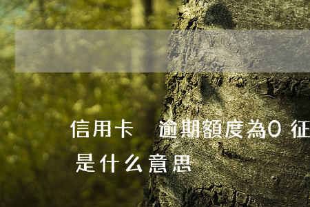 信用卡沒逾期額度為0(征信上逾期金額為0是什么意思)