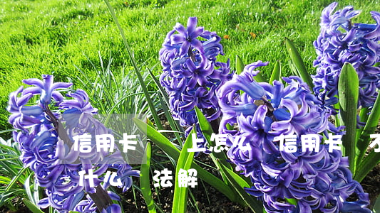 信用卡沒還上怎么辦(信用卡還不上怎么辦用什么辦法解決)