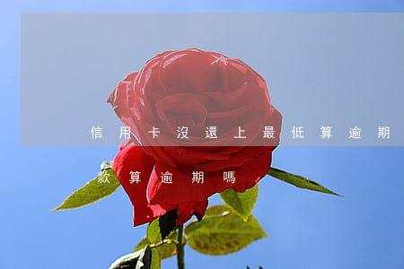 信用卡沒還上最低算逾期嗎(還信用卡最低還款算逾期嗎)