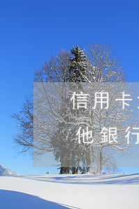 信用卡沒還(信用卡沒還會凍結(jié)其他銀行卡嗎)