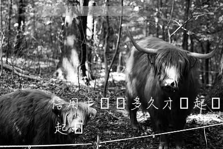 信用卡沒還多久才會起訴(信用卡不還多久會起訴)