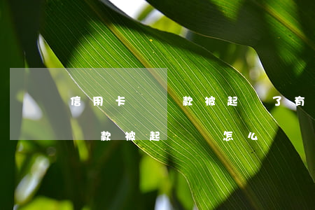 信用卡沒還款被起訴了有得補救嗎(信用卡沒還款,被起訴會怎么樣)