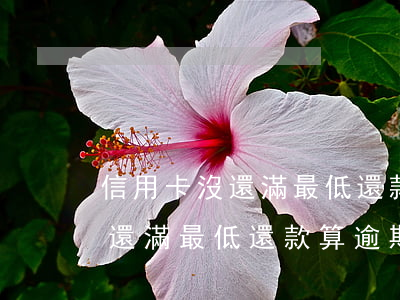 信用卡沒還滿最低還款算逾期嗎-信用卡沒還滿最低還款算逾期嗎怎么辦