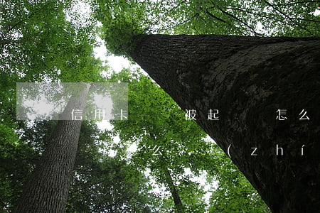 信用卡沒還被起訴會怎么樣(信用卡沒還被起訴會怎么樣執(zhí)行)