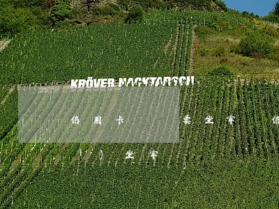 信用卡沒還要坐牢嗎(信用卡還不上會(huì)坐牢嗎)