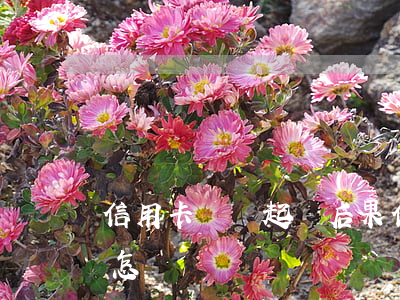 信用卡沒還起訴后果(信用卡沒還起訴后果會怎樣)