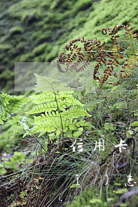 信用卡沒還跟銀行協(xié)商會(huì)怎么樣（信用卡沒還跟銀行協(xié)商）