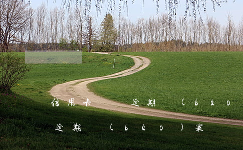 信用卡沒還逾期報(bào)案(信用卡沒還逾期報(bào)案)