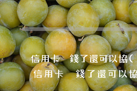 信用卡沒錢了還可以協(xié)商還款嗎(信用卡沒錢了還可以協(xié)商還款嗎怎么還)