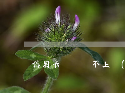 信用卡沒錢還不上預(yù)期怎么辦