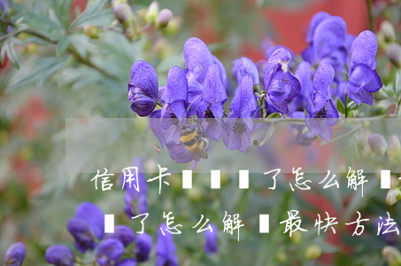 信用卡沒錢還了怎么解決最快-信用卡沒錢還了怎么解決最快方法