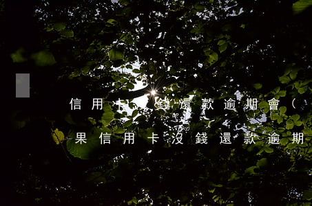 信用卡沒錢還款逾期會(huì)有什么后果(信用卡沒錢還款逾期會(huì)有什么后果嘛)