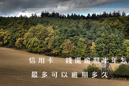 信用卡沒錢還逾期半年怎么辦(信用卡沒錢還最多可以逾期多久)