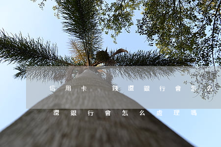信用卡沒錢還銀行會怎么處理-信用卡沒錢還銀行會怎么處理嗎