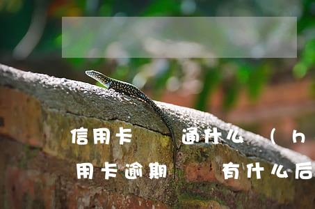 信用卡沒開通什么會(huì)逾期(使用信用卡逾期沒還有什么后果)
