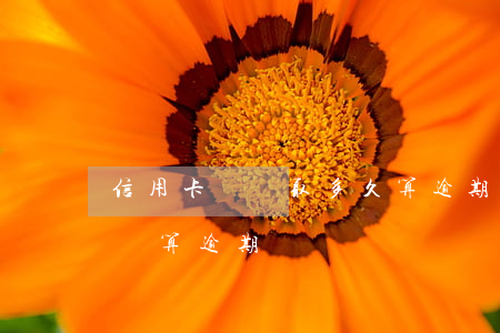 信用卡沒領取多久算逾期(信用卡一個星期沒還算逾期嗎)