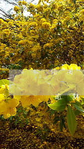 信用卡没下来两年后却有逾期 几年前信用卡逾期