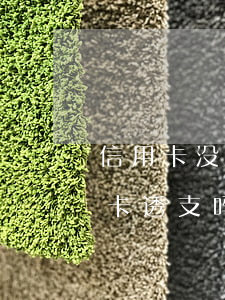 信用卡没开通能查透支度么(贷款能查到信用卡透支吗)