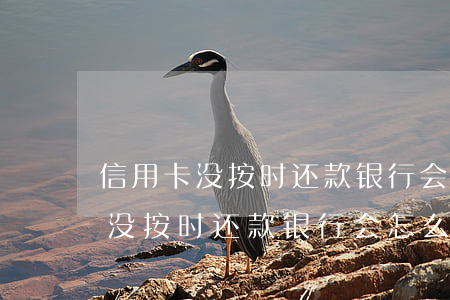 信用卡没按时还款银行会怎么处理-信用卡没按时还款银行会怎么处理