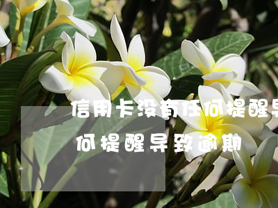 信用卡没有任何提醒导致逾期(信用卡没有任何提醒导致逾期)