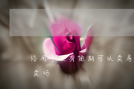 信用卡没有逾期可以卖房吗(有逾期的房子能卖吗)