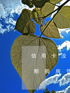 信用卡没有逾期影响买房吗(不小心信用卡逾期,购房贷款有影响吗) 信用卡没有逾期影响买房吗(不小心信用卡逾期,购房贷款有影响吗)