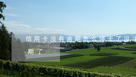 信用卡没有逾期怎么停卡了(没注意信用卡逾期了)