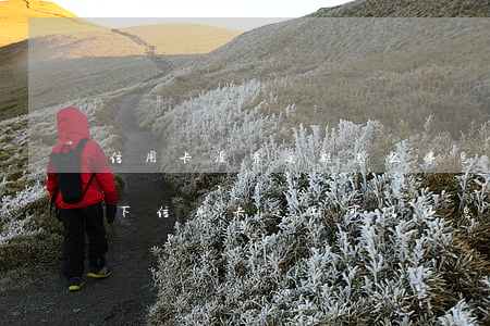 信用卡没有逾期怎么停息挂账申请(什么情况下信用卡逾期可以停息挂账)