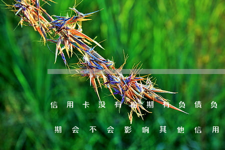 信用卡没有逾期有负债(负债额度高但没有逾期会不会影响其他信用卡的办理)