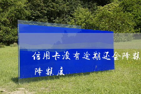 信用卡没有逾期还会降额吗(逾期还款会不会降额度)