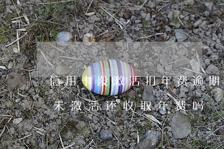 信用卡没激活扣年费逾期(如果信用卡到期后未激活还收取年费吗)