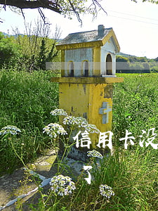 信用卡没激活逾期了(没拿到信用卡已经激活了)