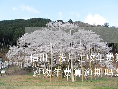 信用卡没用过收年费算逾期吗-信用卡没用过收年费算逾期吗怎么处理