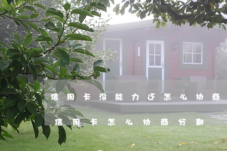 信用卡没能力还怎么协商分期还款-还不起信用卡怎么协商分期