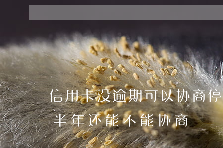 信用卡没逾期可以协商停账吗(欠信用卡逾期半年还能不能协商)