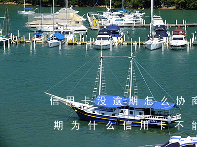 信用卡没逾期怎么协商分期还款呢-没有逾期为什么信用卡不能分期