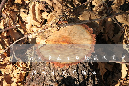 信用卡没逾期担保成黑户(担保被起诉黑名单信用卡受影响吗)