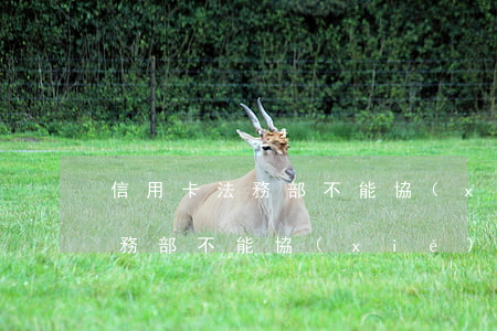 信用卡法務部不能協(xié)商(信用卡法務部不能協(xié)商)