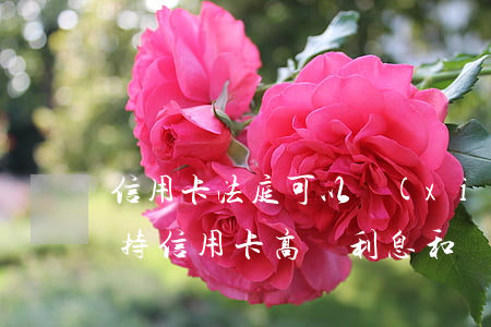 信用卡法庭可以協(xié)商嗎(法院會支持信用卡高額利息和違約金嗎)